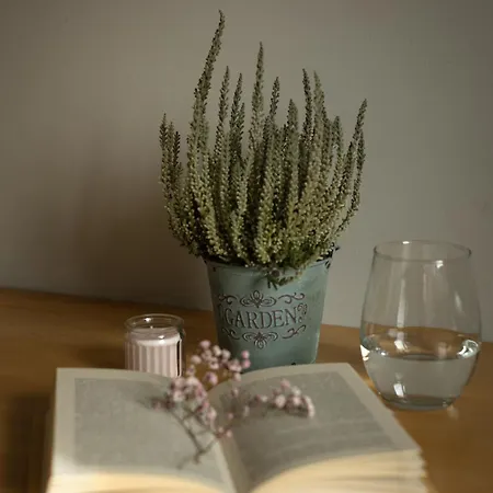 Pogodny Widok Daire Kudowa-Zdroj